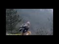Nanum Rowdy Thaan Varava Varava Song Whatsapp Status Tamil Eagel Version