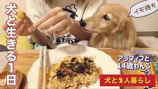 犬と生きる1日【日常】【アラフィフと14歳わんこ】【犬と2人暮らし】