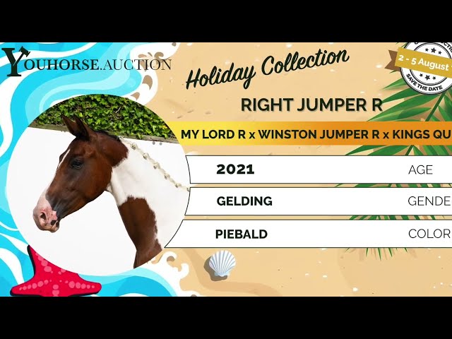 Right Jumper under the saddle