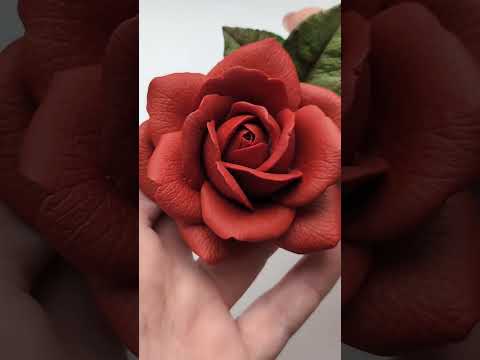 Watch the video: Uncovering the Truth About Colossal Roses