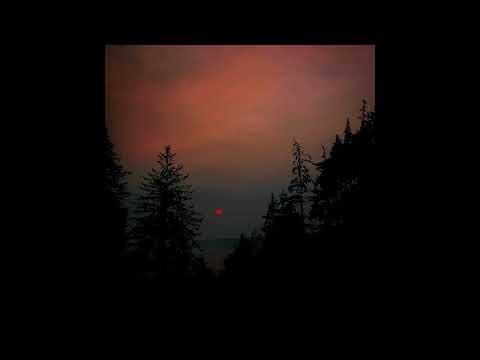 Bon Iver x Taylor Swift Acoustic Indie Folk Type Beat - "The end"