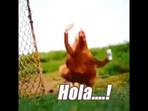 videos graciosos de mí galería #3