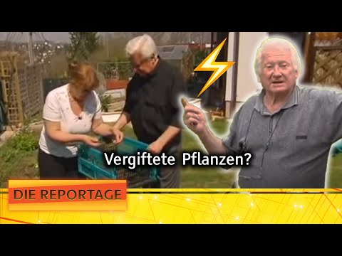 "That's nonsense!" - Arguments at the garden fence 🌳 | 1/2 | The report | ATV