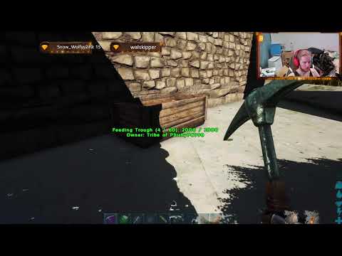 Can We Survive. Casual Chat Extinction Survival Pt20 Base Organising and Farming Mat's