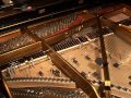 John CAGE: Sonatas and Interludes I-V (Elif Onal, piano)
