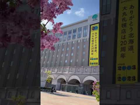 インディアンライラックの種を集める方法は？  庭園