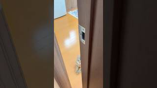 ドアを開けると… #shorts