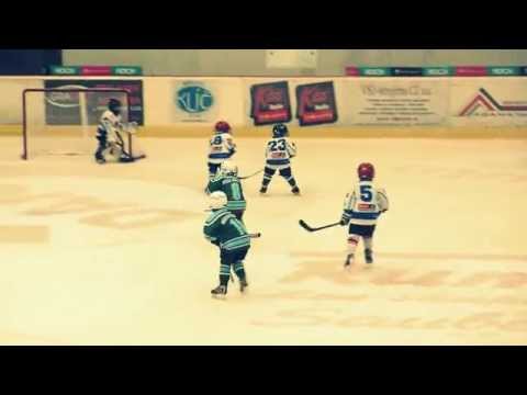 Míša Bejšák -  HC Milevsko 2010