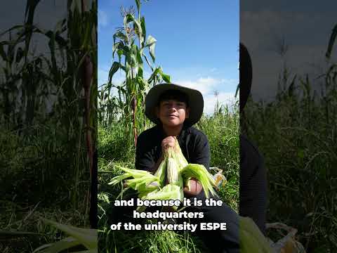 Belisario Quevedo Latacunga Ecuador 🇪🇨🇪🇨