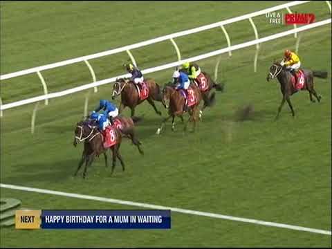 2020 SEVEN Horse Racing ATC George Main Stakes Pointer