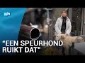 Kan corona via uitlaatgas verspreiden?