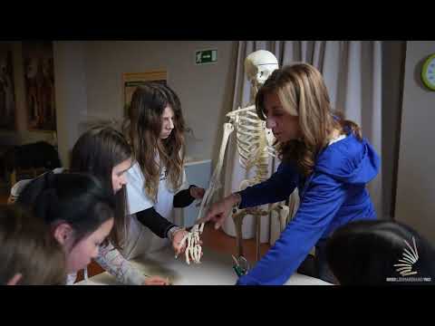 Museo Leonardiano di Vinci | Video Promo