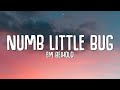 Download lagu Em Beihold Numb Little Bug
