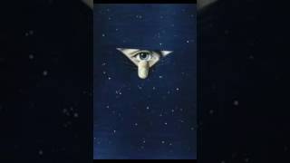 WE A FAMLY - THE FLAMING LIPS