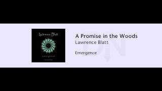 Lawrence Blatt - A Promise in the Woods - Emergence - 01