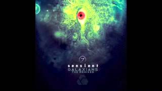 Sensient - Galaxians (Mr. Bill & Tha Fruitbat Remix)