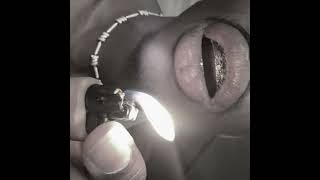 Cover art for Light again