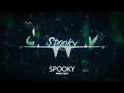 Princyboii - Spooky (Visualiser) #LGM