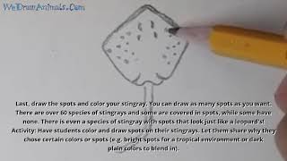 How to Draw a Stingray In 5 EASY Steps - GREAT for Kids & Beginners