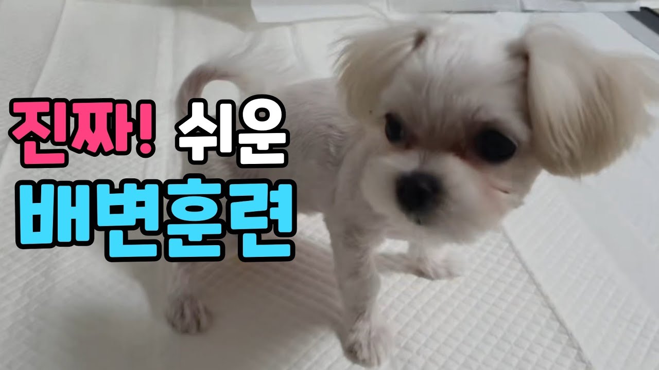 object-cover transition-all