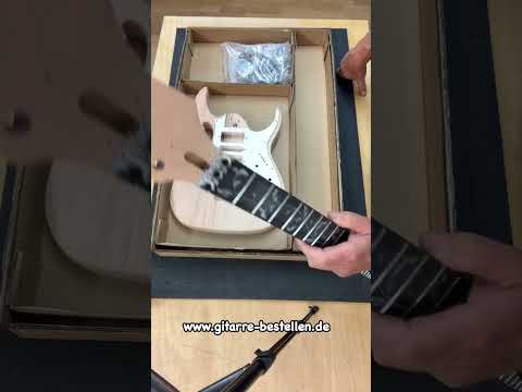 E-Gitarren Bausatz Guitar DIY Kit Tree of life