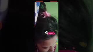 Download lagu Lagi wik wik bigo live mp3 Download lagu Lagi wik wik bigo live mp3