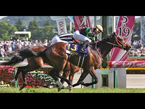 Yushun Himba(Japanese Oaks) (G1)  2019 -  Loves Only You