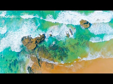 Relaxing Zen Music with Water Sounds | Flying Over The Atlantic Ocean (4K) by @StingrayNaturescape​