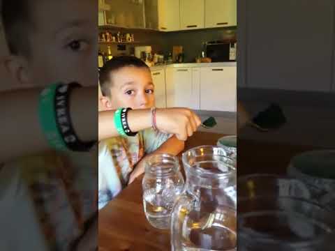 Esperimento "Bolle di vomito"