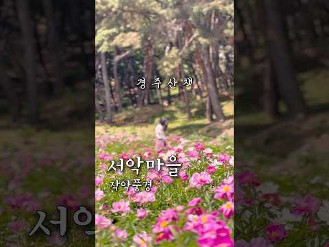 #경주산책 #서악마을 #작약