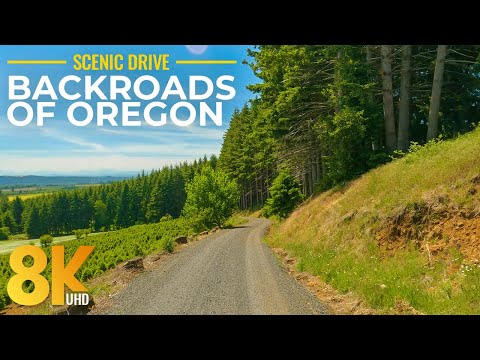 Driving on Oregon's Backroads - 8K Scenic Drive through Scenic Landscapes - 10 Hours