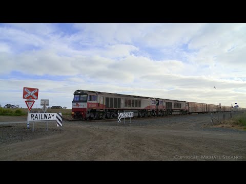 1PM9 SCT Freight Train At Level Crossing - PoathTV Australian Railways