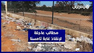 مطالب عاجلة لإنقاذ غابة تامسنا من الضياع والإهمال thumbnail