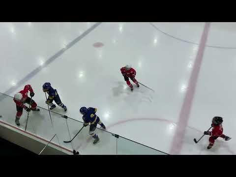 HK Tornaado - HC Vipers3