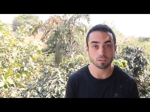 Ricardo