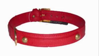 Die mit dem roten Halsband (Original Werbung)