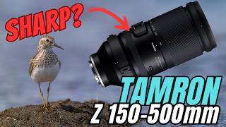 TAMRON 150-500 Z REVIEW! Good Budget Option?