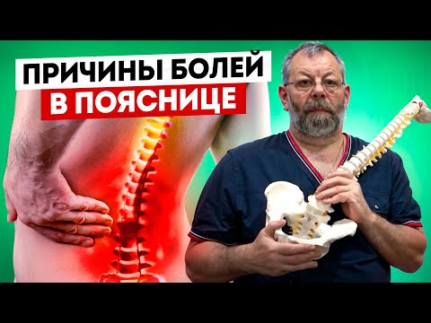 Артромот для коленного сустава аренда москва цена Гимнастика для укрепления мышц тазобедренного сустава