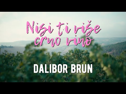 Dalibor Brun - Nisi ti više crno vino (Official lyric video)