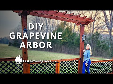 How to Build a Garden Arbor | DIY Muscadine Grapevine Arbor and Pergola