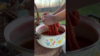 Naturally Dyeing a Scarf With Foraged Sumac 🌿