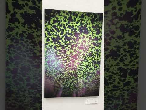 Salon2023 Gino Calenda di Tavani  "It seized me" mixed media on canvas Arti et Amicitiae Amsterdam