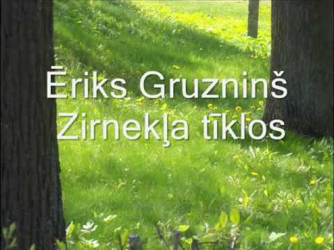 Ēriks Gruzninš - Zirnekļa tīklos