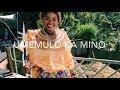 Umemulo Ka Mino The Live Action