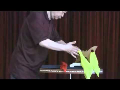 Butterfly Silk Magic Trick by Mikame Crafts