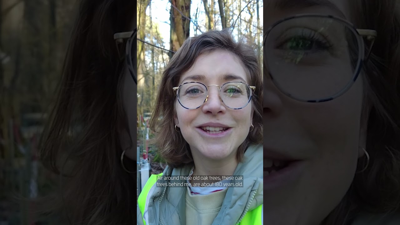 Climate experiment reveals if trees will survive in our future atmosphere🌳⁠⁠