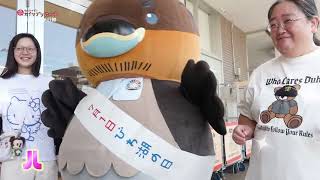 2026/10/6放送・知ったかぶりカイツブリにゅーす