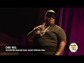 DRU HILL BEAUTY ROCHESTER SUMMER SOUL MUSIC FESTIVAL 2024 ROCSUMSOULFEST DRUHILL