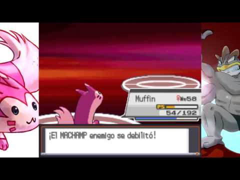 Pokémon HG -Furret- soloRun- Vs. Elite Bruno