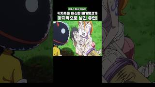 최신화) 키자루를 배신한 베가펑크가 마지막으로 남긴 유언 #onepiece #원피스